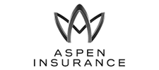 Aspen Logo - About Us